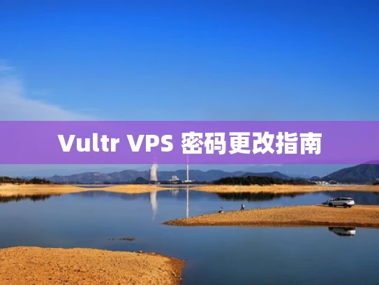 Vultr VPS 密码更改指南