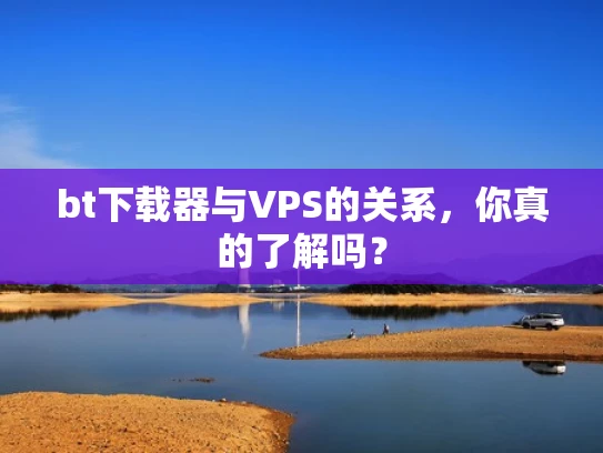 bt下载器与VPS的关系，你真的了解吗？