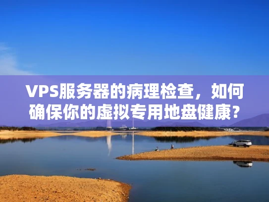 VPS服务器的病理检查，如何确保你的虚拟专用地盘健康？