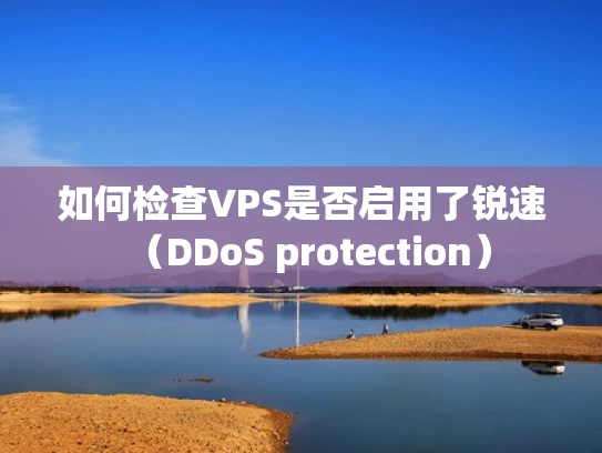 如何检查VPS是否启用了锐速（DDoS protection）