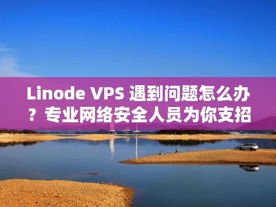 Linode VPS 遇到问题怎么办？专业网络安全人员为你支招