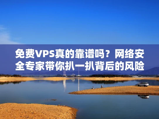 免费VPS真的靠谱吗？网络安全专家带你扒一扒背后的风险