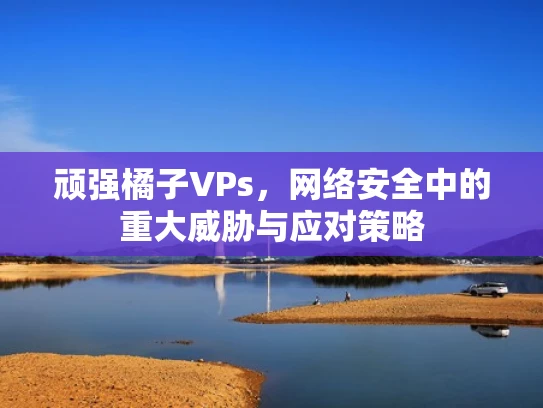 顽强橘子VPs，网络安全中的重大威胁与应对策略