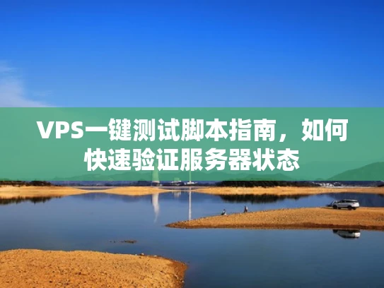 VPS一键测试脚本指南，如何快速验证服务器状态