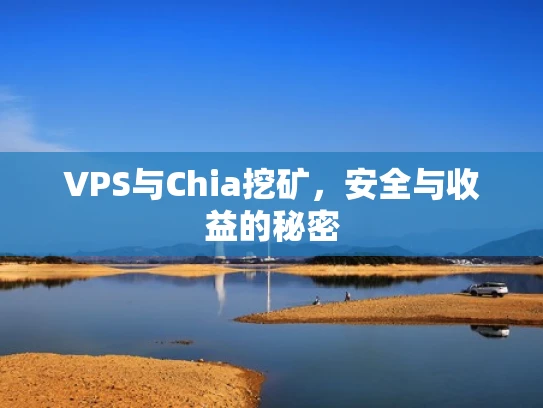 VPS与Chia挖矿，安全与收益的秘密