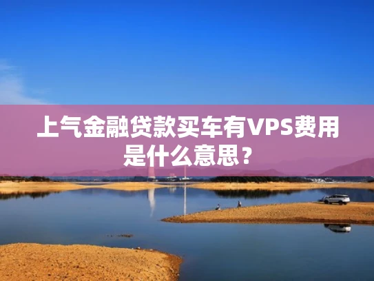 上气金融贷款买车有VPS费用是什么意思？