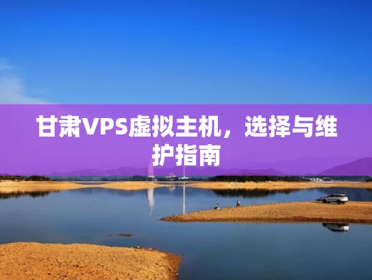 甘肃VPS虚拟主机，选择与维护指南
