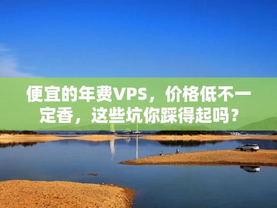 便宜的年费VPS，价格低不一定香，这些坑你踩得起吗？