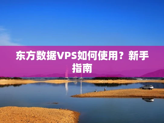 东方数据VPS如何使用？新手指南