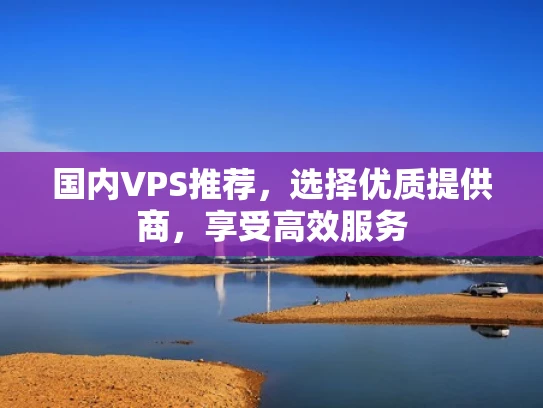 国内VPS推荐，选择优质提供商，享受高效服务