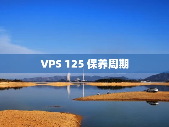 VPS 125 保养周期