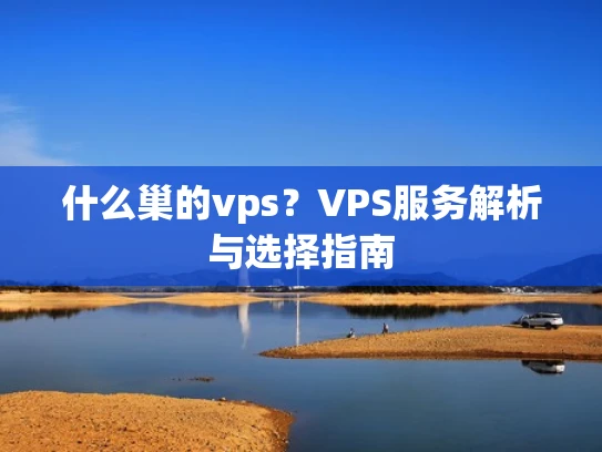 什么巢的vps？VPS服务解析与选择指南