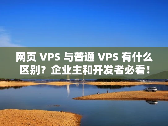 网页 VPS 与普通 VPS 有什么区别？企业主和开发者必看！