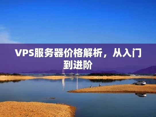 VPS服务器价格解析，从入门到进阶