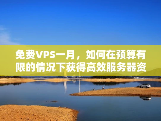 免费VPS一月，如何在预算有限的情况下获得高效服务器资源？