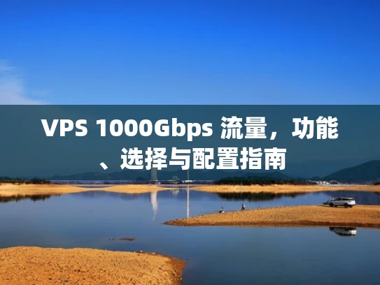 VPS 1000Gbps 流量，功能、选择与配置指南