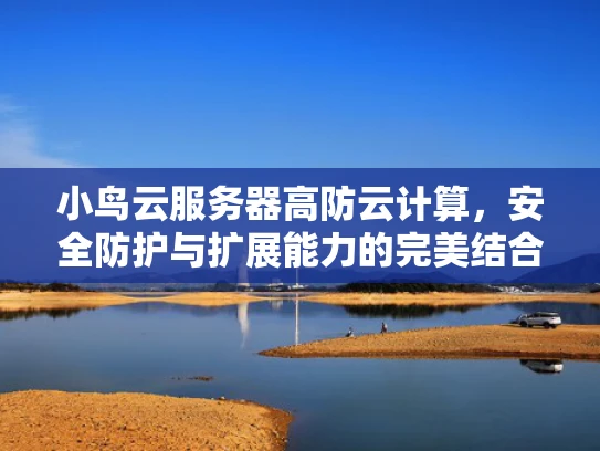 小鸟云服务器高防云计算，安全防护与扩展能力的完美结合