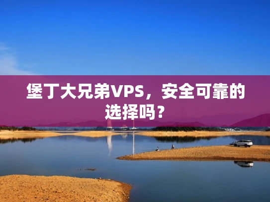 堡丁大兄弟VPS，安全可靠的选择吗？