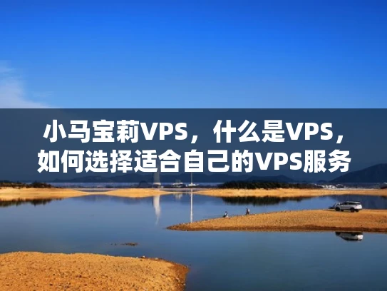 小马宝莉VPS，什么是VPS，如何选择适合自己的VPS服务？
