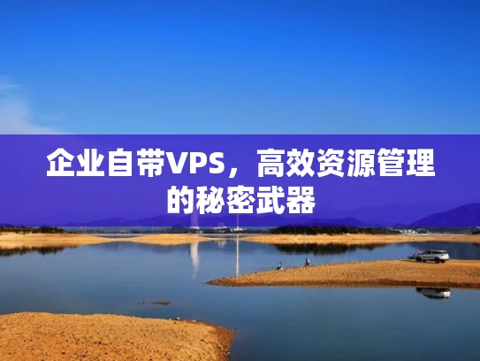 企业自带VPS，高效资源管理的秘密武器