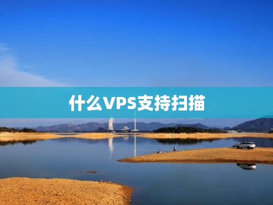 什么VPS支持扫描