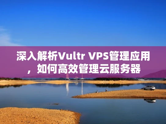 深入解析Vultr VPS管理应用，如何高效管理云服务器