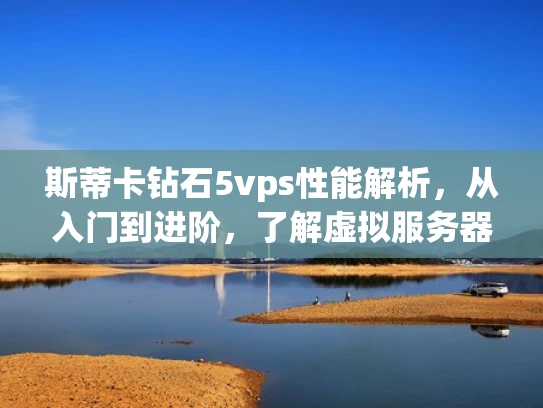 斯蒂卡钻石5vps性能解析，从入门到进阶，了解虚拟服务器的性能特点