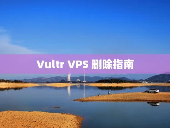 Vultr VPS 删除指南