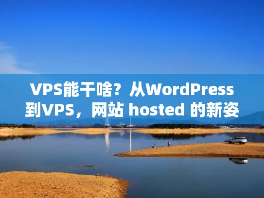 VPS能干啥？从WordPress到VPS，网站 hosted 的新姿势