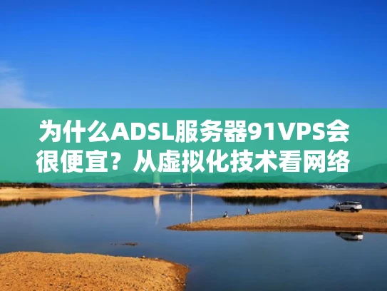 为什么ADSL服务器91VPS会很便宜？从虚拟化技术看网络服务的未来