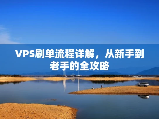 VPS刷单流程详解，从新手到老手的全攻略