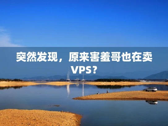突然发现，原来害羞哥也在卖VPS？