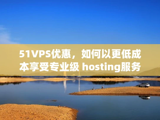 51VPS优惠，如何以更低成本享受专业级 hosting服务？