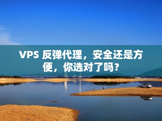 VPS 反弹代理，安全还是方便，你选对了吗？