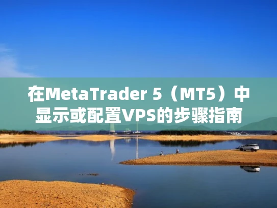 在MetaTrader 5（MT5）中显示或配置VPS的步骤指南