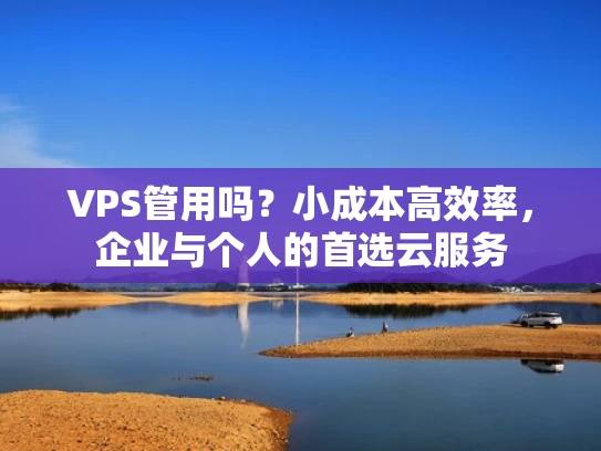 VPS管用吗？小成本高效率，企业与个人的首选云服务