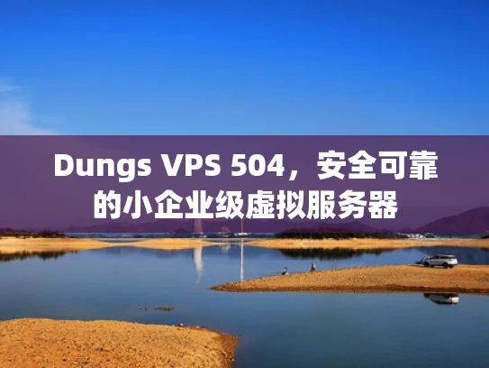 Dungs VPS 504，安全可靠的小企业级虚拟服务器