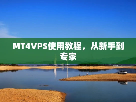MT4VPS使用教程，从新手到专家