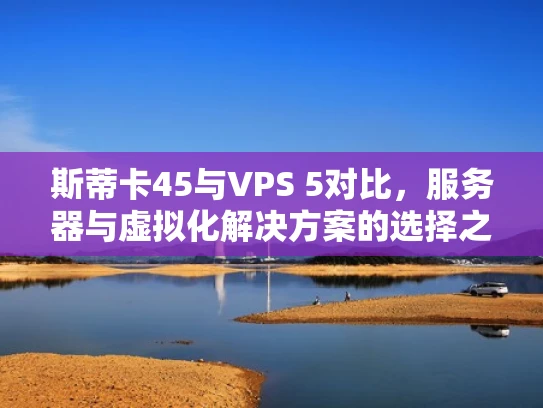 斯蒂卡45与VPS 5对比，服务器与虚拟化解决方案的选择之道