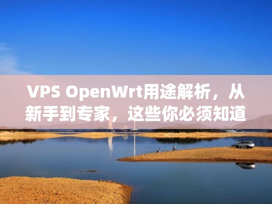 VPS OpenWrt用途解析，从新手到专家，这些你必须知道的用途