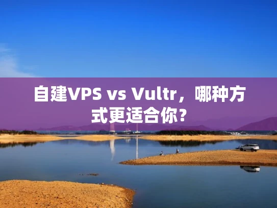 自建VPS vs Vultr，哪种方式更适合你？
