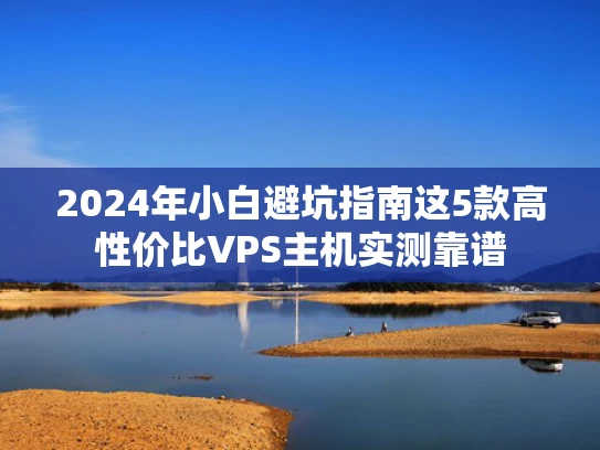 2024年小白避坑指南这5款高性价比VPS主机实测靠谱