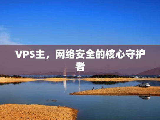VPS主，网络安全的核心守护者