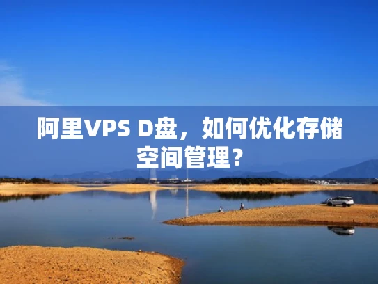 阿里VPS D盘，如何优化存储空间管理？