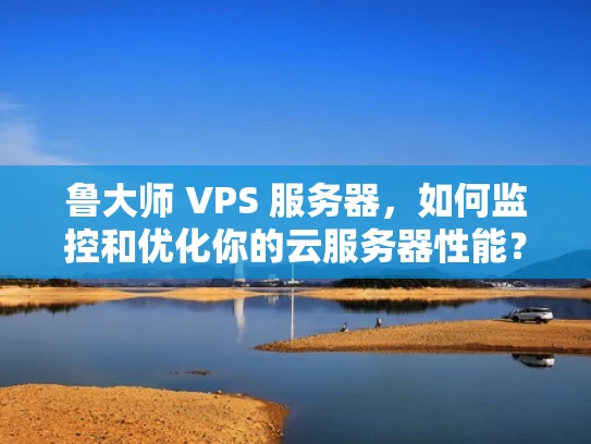 鲁大师 VPS 服务器，如何监控和优化你的云服务器性能？
