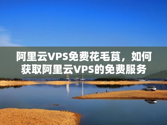 阿里云VPS免费花毛茛，如何获取阿里云VPS的免费服务