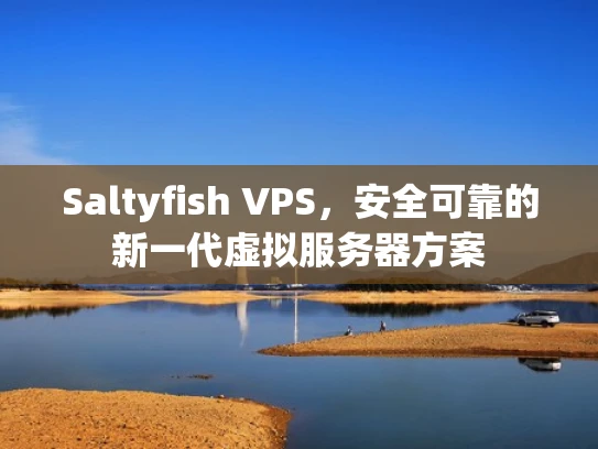 Saltyfish VPS，安全可靠的新一代虚拟服务器方案