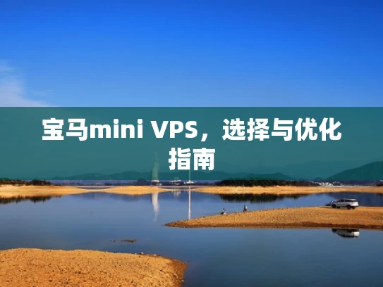 宝马mini VPS，选择与优化指南