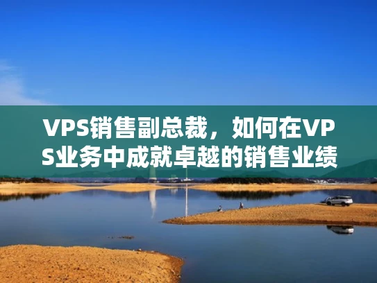 VPS销售副总裁，如何在VPS业务中成就卓越的销售业绩？