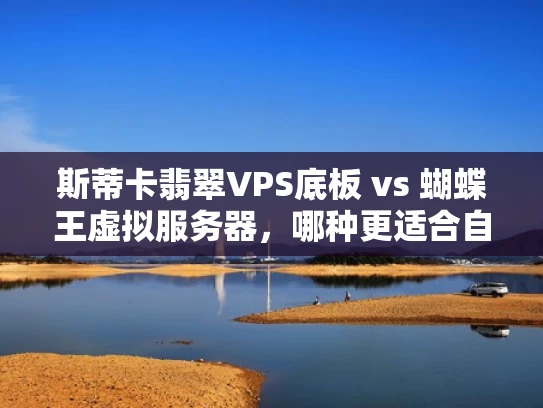 斯蒂卡翡翠VPS底板 vs 蝴蝶王虚拟服务器，哪种更适合自己？